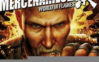 mercenary什么意思,mercenary中文翻译,mercenary用法及例句,mercenary怎么读