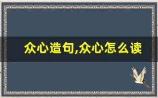 众心造句,众心怎么读,众心的意思,众心的组词