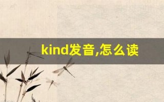 kind发音,怎么读,kind什么意思,kind例句用法