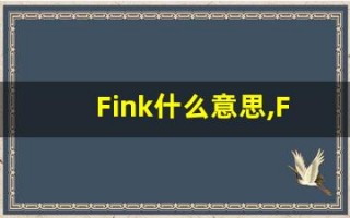 Fink什么意思,Fink用法,Fink的发音,Fink翻译