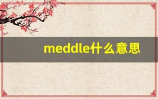 meddle什么意思,meddle用法,meddle造句