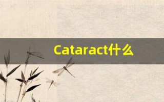 Cataract什么意思,Cataract用法,Cataract的发音,Cataract翻译