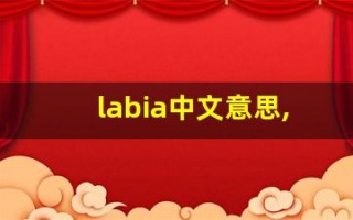 labia中文意思,labia中文翻译,labia用法及例句,labia语法