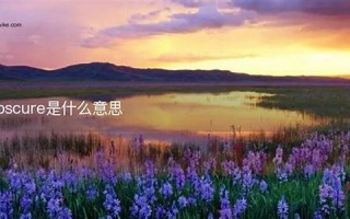 obscure什么意思,obscure中文翻译,obscure用法及例句,obscure怎么读