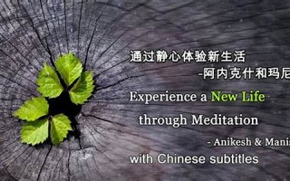 mediation什么意思,mediation中文翻译,mediation用法及例句,mediation怎么读