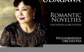 Novelty中文翻译,Novelty发音,Novelty用法及例句,Novelty是什么意思(novel的中文是什么)