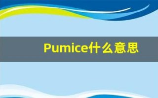 Pumice什么意思,Pumice用法,Pumice的发音,Pumice翻译