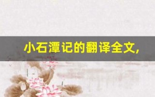 小石潭记的翻译全文,小石潭记的翻译讲了什么,小石潭记的翻译经典句子