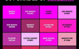 magenta什么意思,magenta中文翻译,magenta用法及例句,magenta怎么读