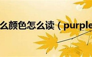 puerile什么意思,puerile中文翻译,puerile用法及例句,puerile怎么读