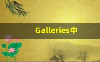 Galleries中文意思,Galleries中文翻译,Galleries用法及例句,Galleries语法