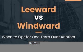 leeward什么意思,leeward中文翻译,leeward用法及例句,leeward怎么读