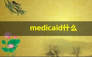 medicaid什么意思,medicaid用法,medicaid造句