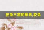 狡兔三窟的意思,狡兔三窟的近义词反义词,狡兔三窟造句例句,狡兔三窟出处及解释