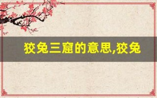 狡兔三窟的意思,狡兔三窟的近义词反义词,狡兔三窟造句例句,狡兔三窟出处及解释
