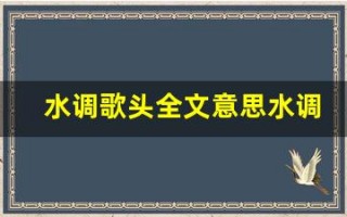水调歌头全文意思水调歌头讲了什么,水调歌头经典句子