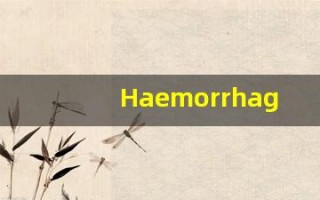Haemorrhage中文释义,Haemorrhage中文翻译,Haemorrhage造句,Haemorrhage的发音