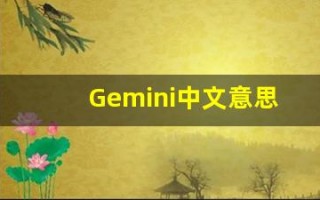 Gemini中文意思,Gemini中文翻译,Gemini用法及例句,Gemini语法