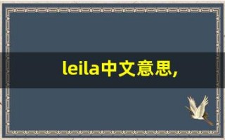 leila中文意思,leila中文翻译,leila用法及例句,leila语法