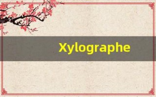 Xylographer什么意思,Xylographer用法,Xylographer造句,Xylographer的发音