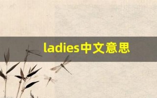ladies中文意思,ladies中文翻译,ladies用法及例句,ladies语法