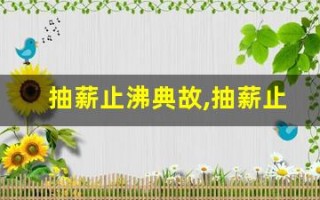 抽薪止沸典故,抽薪止沸故事,抽薪止沸是什么意思
