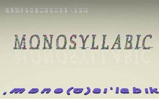 monosyllable什么意思,monosyllable中文翻译,monosyllable用法及例句,monosyllable怎么读