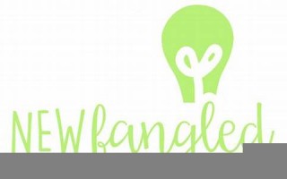 newfangled什么意思,newfangled中文翻译,newfangled用法及例句,newfangled怎么读