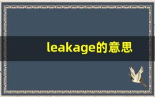 leakage的意思,leakage同义词,leakage用法及例句,leakage语法