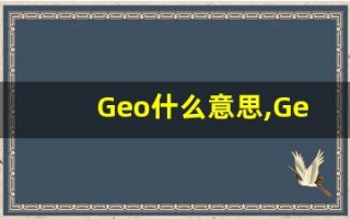 Geo什么意思,Geo用法,Geo的发音,Geo翻译