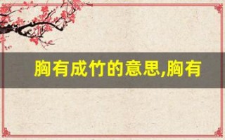 胸有成竹的意思,胸有成竹的近义词反义词,胸有成竹造句例句,胸有成竹出处及解释