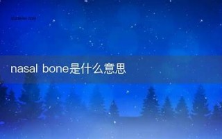 nasal什么意思,nasal中文翻译,nasal用法及例句,nasal怎么读