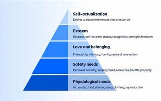 motivation什么意思,motivation中文翻译,motivation用法及例句,motivation怎么读