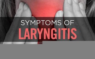 laryngitis什么意思,laryngitis中文翻译,laryngitis用法及例句,laryngitis怎么读
