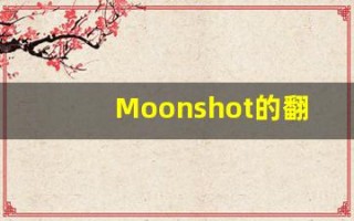 Moonshot的翻译,Moonshot怎么读,Moonshot造句及用法