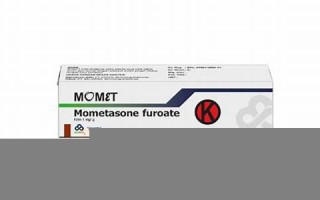 momet什么意思,momet中文翻译,momet用法及例句,momet怎么读