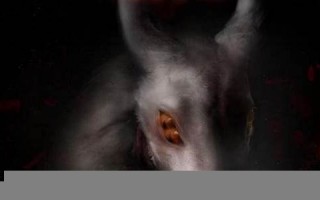 pernicious什么意思,pernicious中文翻译,pernicious用法及例句,pernicious怎么读