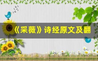 《采薇》诗经原文及翻译,《采薇》诗经全文,《采薇》诗经翻译,《采薇》诗经全诗解析
