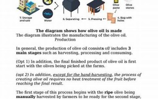 olive什么意思,olive中文翻译,olive用法及例句,olive怎么读