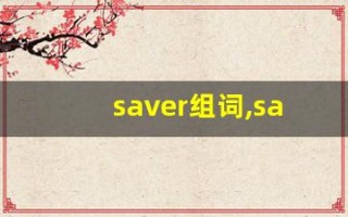 saver组词,saver中文翻译,saver造句,saver的发音