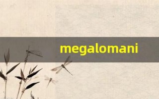 megalomaniac什么意思,megalomaniac用法,megalomaniac造句