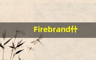 Firebrand什么意思,Firebrand用法,Firebrand的发音,Firebrand翻译