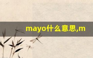 mayo什么意思,mayo用法,mayo造句