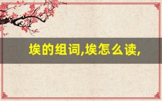 埃的组词,埃怎么读,埃的意思,埃的拼音