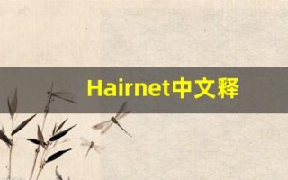 Hairnet中文释义,Hairnet中文翻译,Hairnet造句,Hairnet的发音