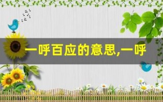 一呼百应的意思,一呼百应的近义词反义词,一呼百应造句例句,一呼百应出处及解释