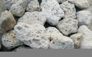 pumice什么意思,pumice中文翻译,pumice用法及例句,pumice怎么读