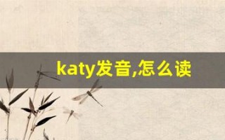 katy发音,怎么读,katy什么意思,katy例句用法