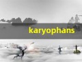 karyophans什么意思,karyophans造句用法,karyophans的发音,karyophans中文翻译