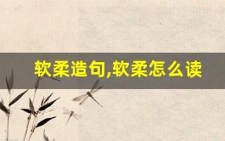 软柔造句,软柔怎么读,软柔的意思,软柔的组词